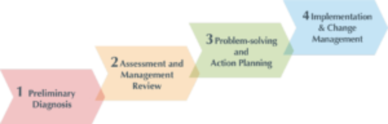 Dew-Point's Consulting Process